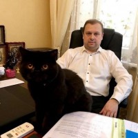 Професійні послуги адвоката в Києві