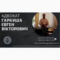 Професійні юридичні консультації у Києві