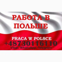 Перевірені вакансії в Польщі, для чоловіків та жінок