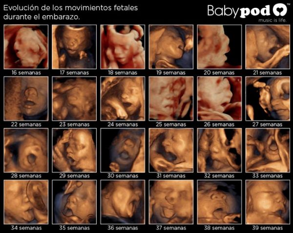 Фото 3. Інтравагінальний музичний апарат для вагітних - Babypod Бебіпод