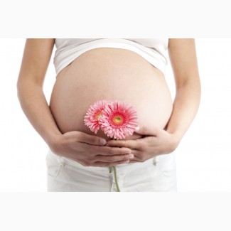 Работа в сфере репродуктивных технологий Суррогатной мамой