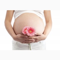 Работа в сфере репродуктивных технологий Суррогатной мамой