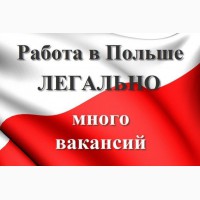 Официальное трудоустройство украинцев в Польшу. Новые вакансии