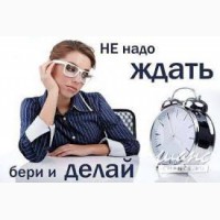 Удалённый консультант компании