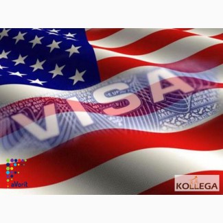 Предлагаем помощь в получении визы в США