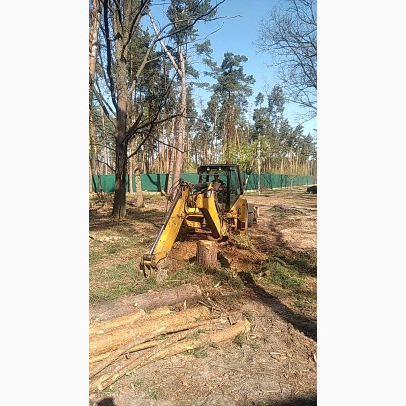 Фото 3. Професійний спил та видалення дерев у Києві та Київській області